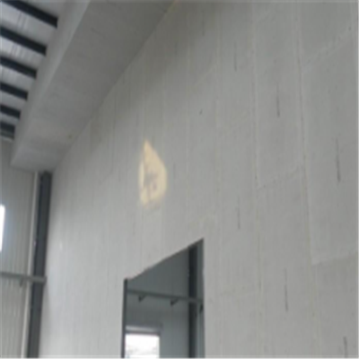 汤原宁波ALC板|EPS加气板隔墙与混凝土整浇联接的实验研讨